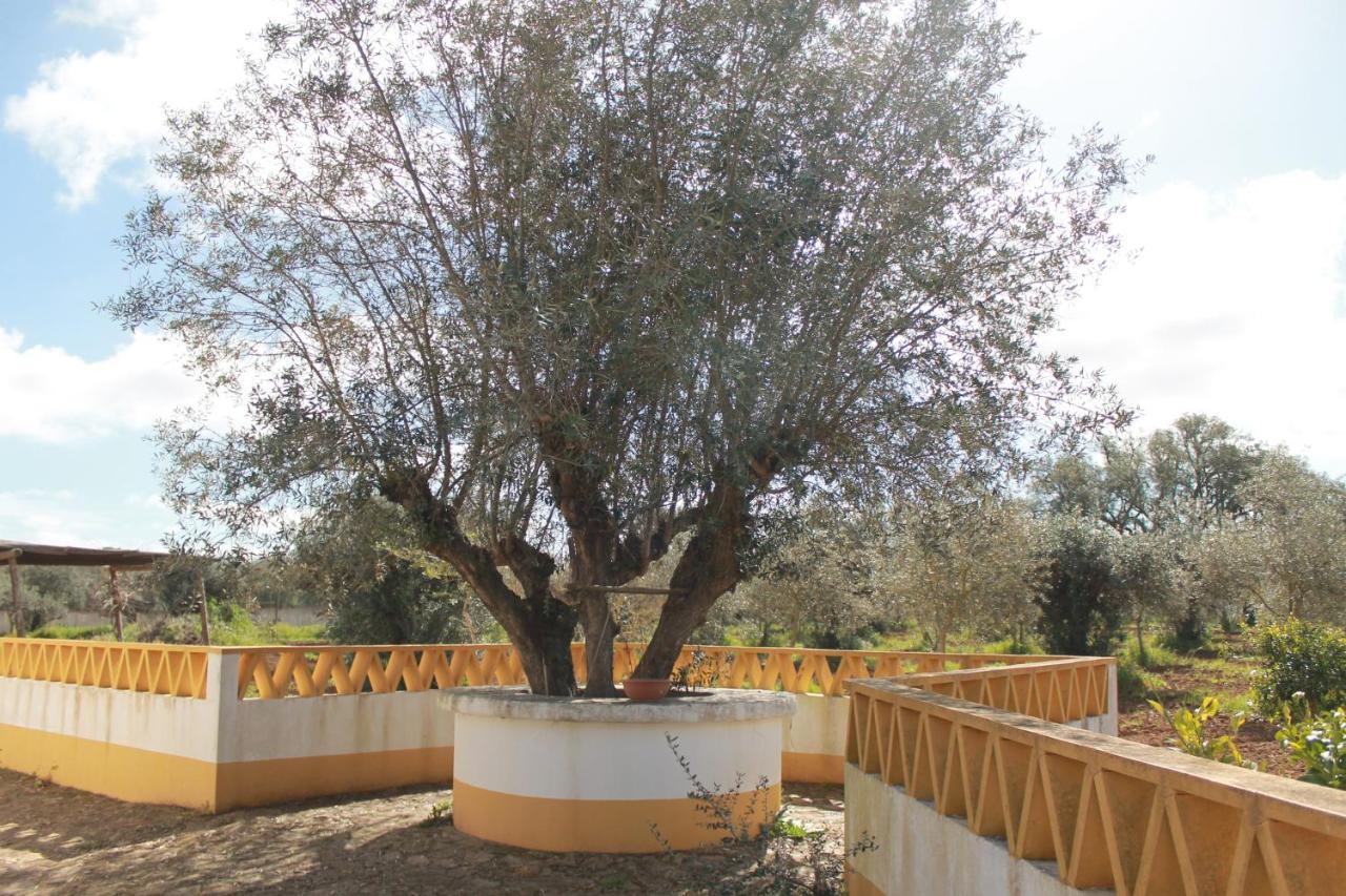 Montinho Do Palanque Villa Viana do Alentejo Ngoại thất bức ảnh