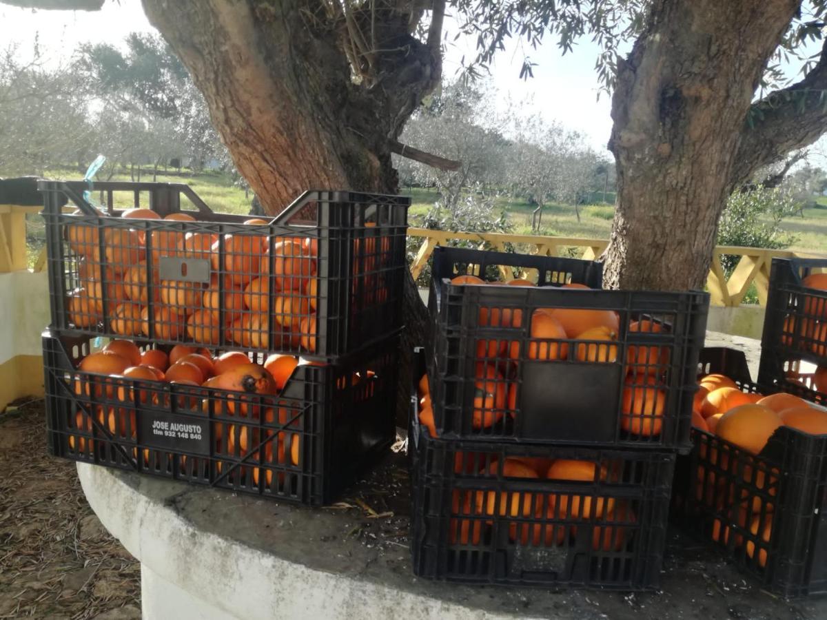 Montinho Do Palanque Villa Viana do Alentejo Ngoại thất bức ảnh