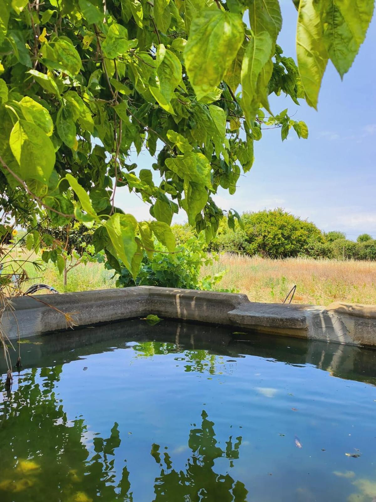Montinho Do Palanque Villa Viana do Alentejo Ngoại thất bức ảnh