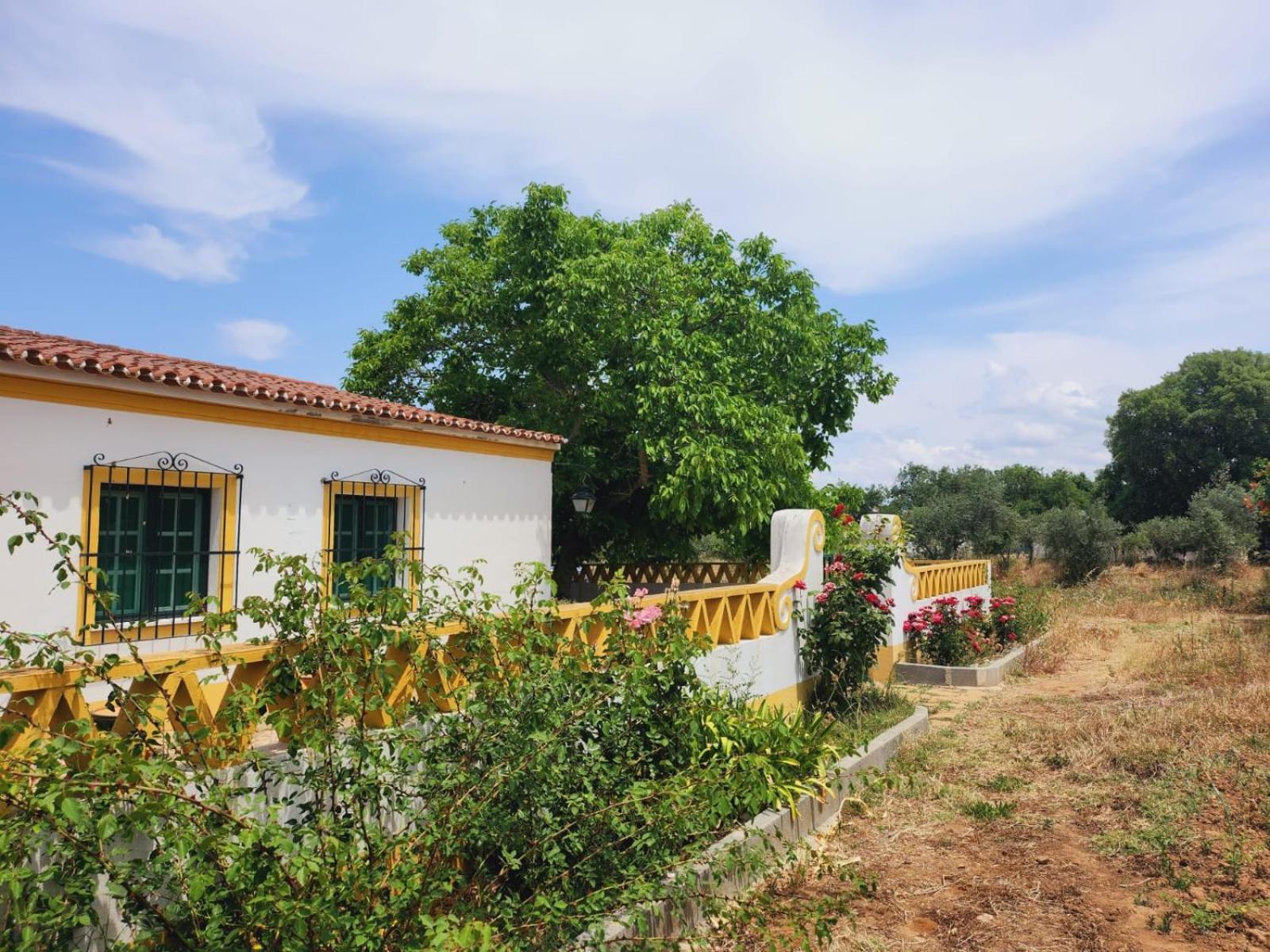 Montinho Do Palanque Villa Viana do Alentejo Ngoại thất bức ảnh